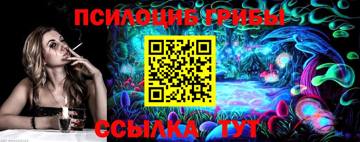 Видное  Псилоцибиновые грибы MAGIC MUSHROOMS  Вход с VPN 