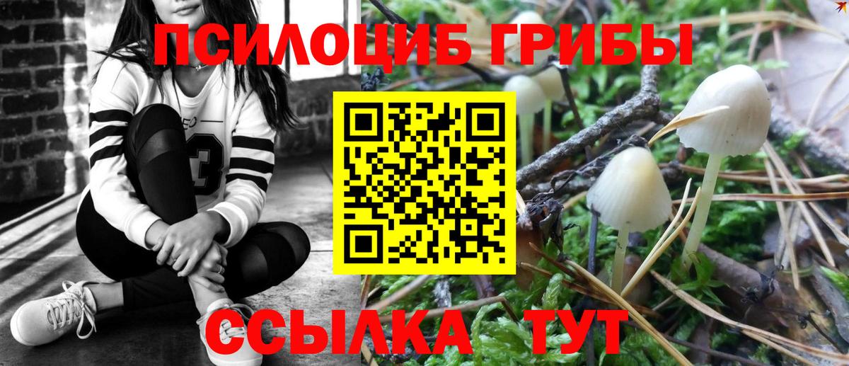 Галлюциногенные грибы ЛСД Видное